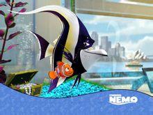 海底总动员宣传海报封面 海底总动员宣传海报封面