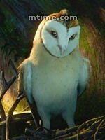 守卫者传奇 守卫者传奇